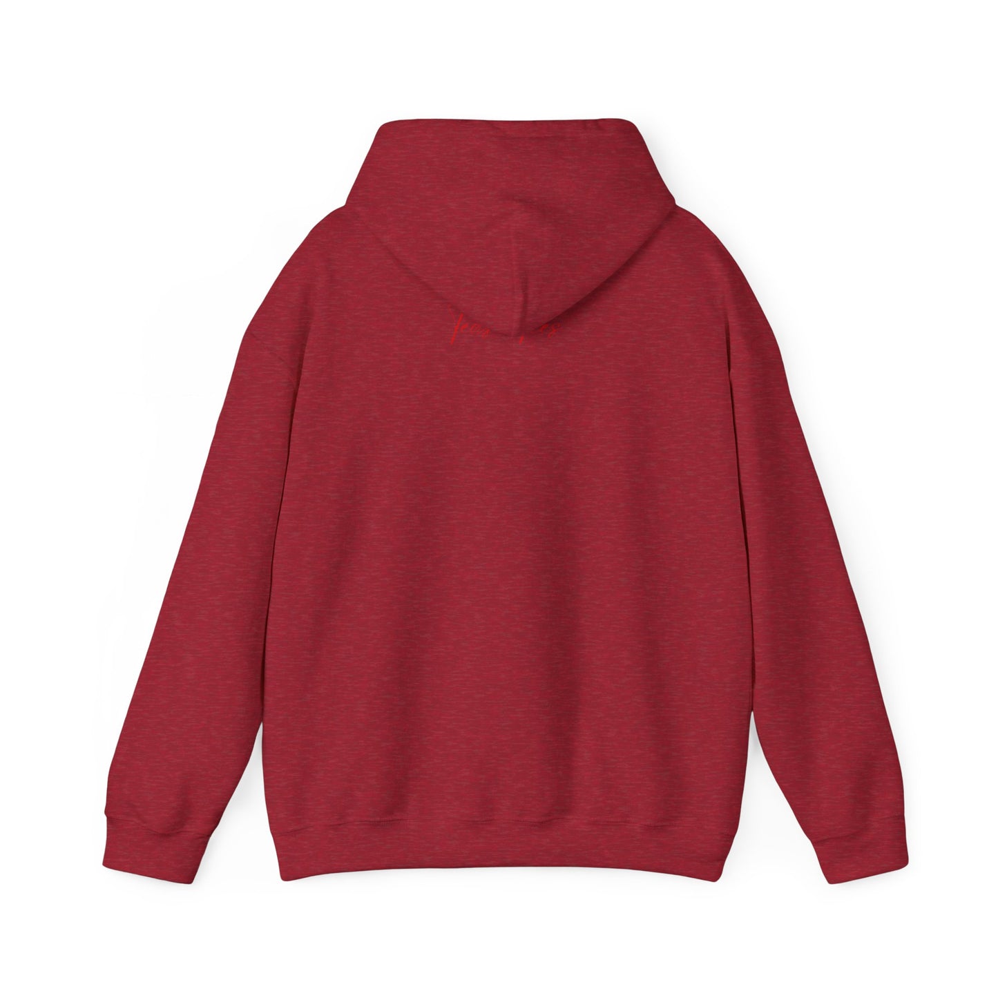 IN THE MEADOW HOODIE