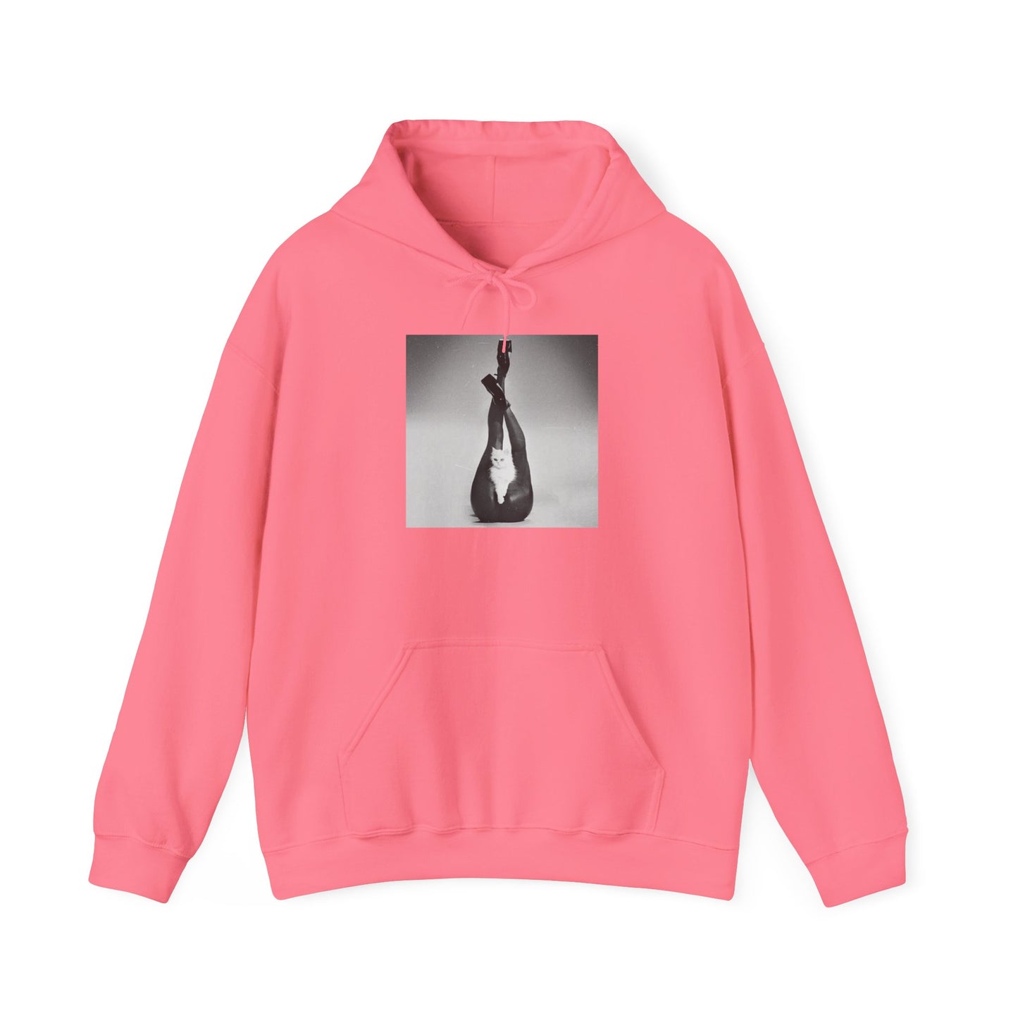 KITTEN HOODIE